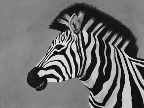 Briony's Zebra B&W - Abstract